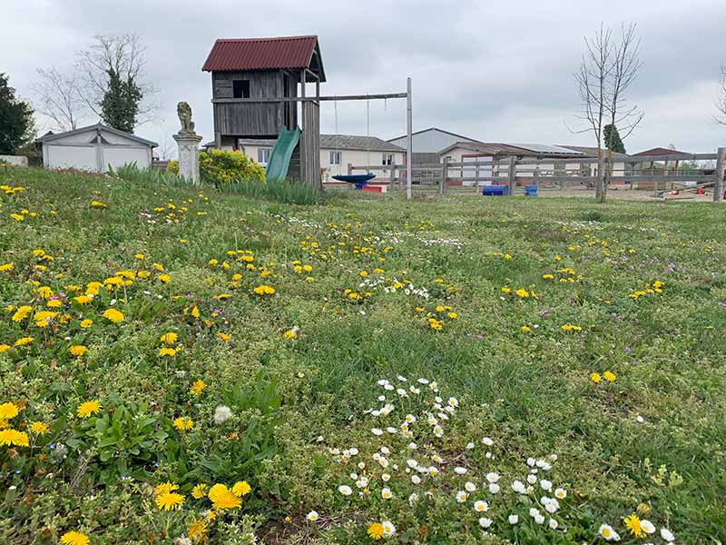 Un grand jardin fleuri au calme avec des jeux pour les enfants